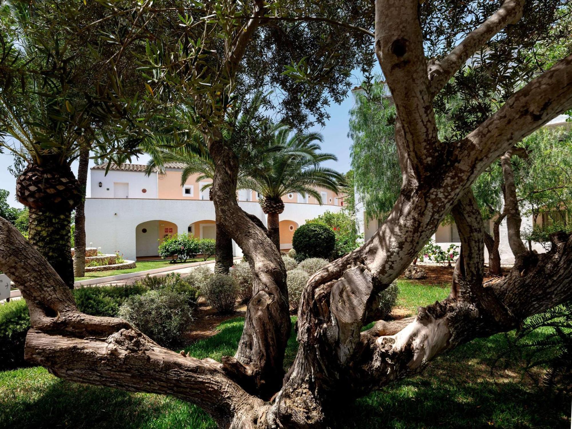 Sol Falco Menorca Son Xoriguer Dış mekan fotoğraf